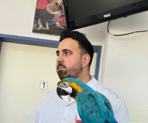 ד"ר איתי לוק