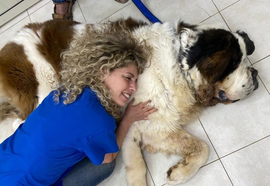 ד"ר ג'ודי פרמט